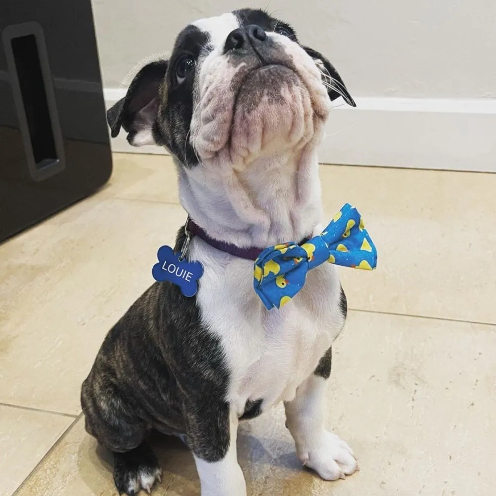 lucky ducky dog bow tie